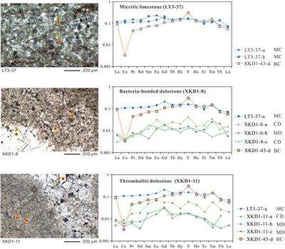 Characteristics and genesis of dolomite in the lower Cambrian Xiaoerbulake Formation of the western Tarim Basin, China